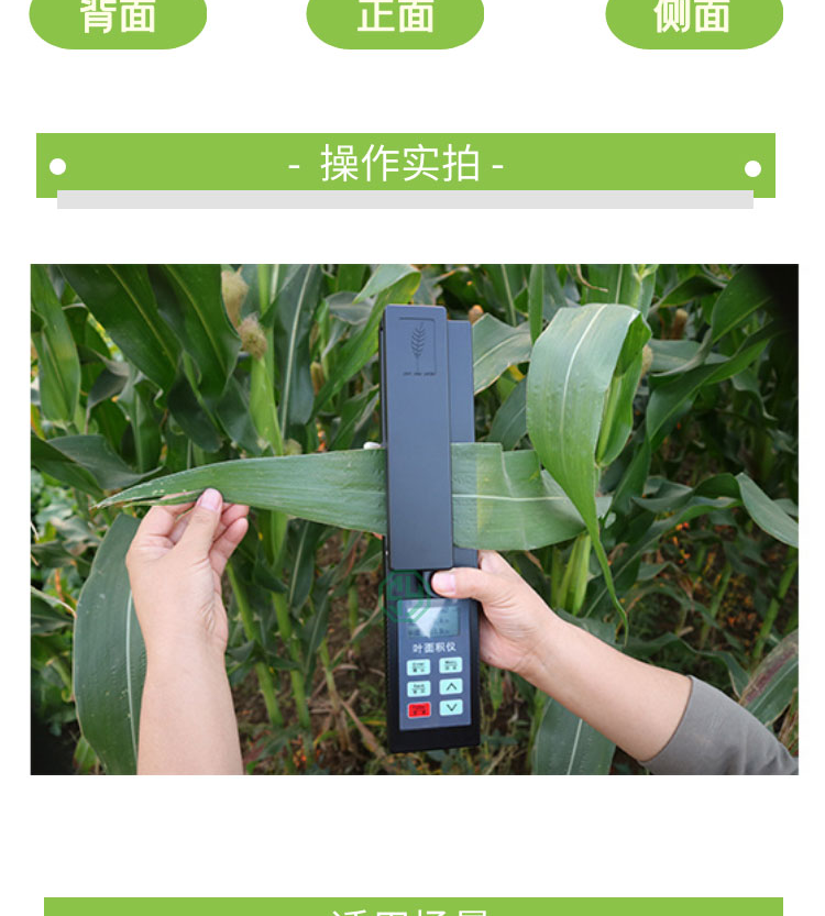 活體葉面積儀SYS-LAM-G