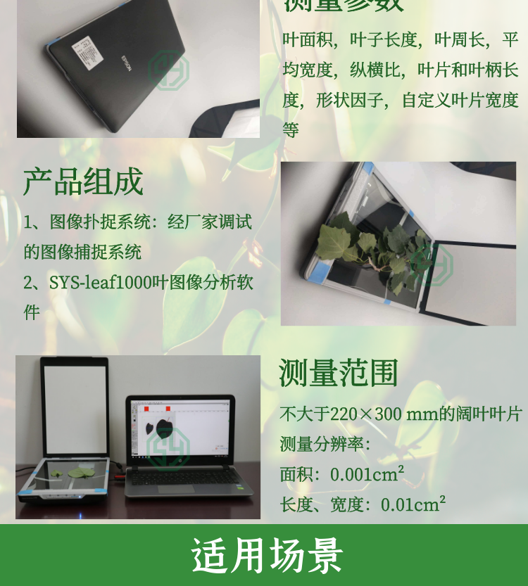 葉片圖像分析儀SYS-FS-leaf1000